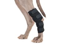 Dog Supports