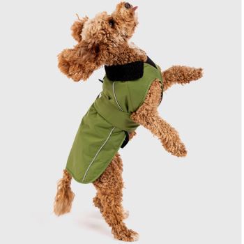 dryrobe® Dog Forest Green/Black