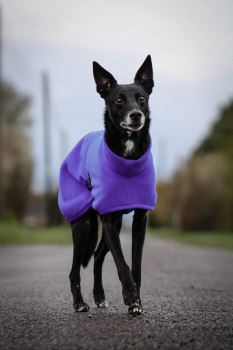 Jaegr - Snug Fleece - Purple 
