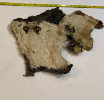 Air-Dried Beef Bark with Hair 