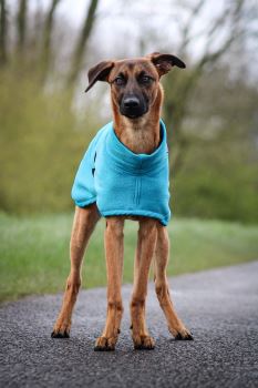 Jaegr - Snug Fleece - Turquoise