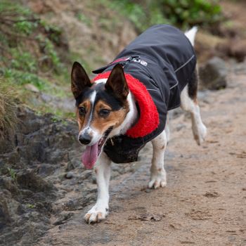 dryrobe® Dog Black/Red