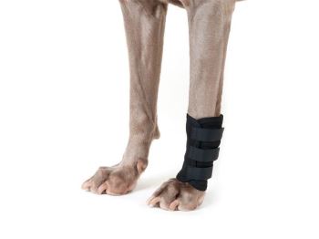 Back On Track Dog Leg Wrap