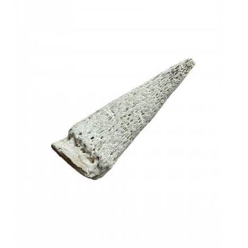Cow Horn just Marrows