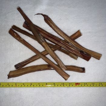 Air-Dried Bulls Pizzles