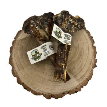 Large Tibia Ostrich bones