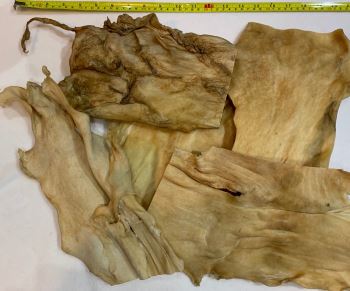 Air-Dried - Buffalo Skin