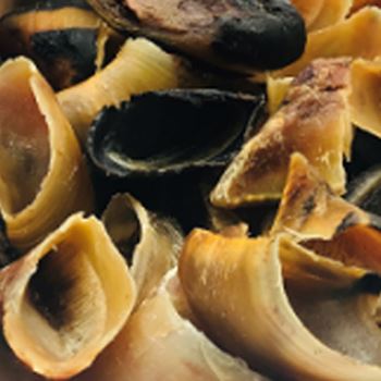 Air-Dried Cow Hooves