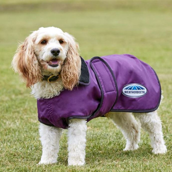 Now stocking Weatherbeeta Dog Coats