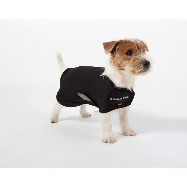 Hooray Back On Track Hugo Mesh dog coats are back in stock
