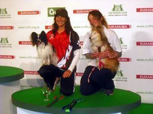 Agility Success at Crufts 2014 for Amy and Fudge