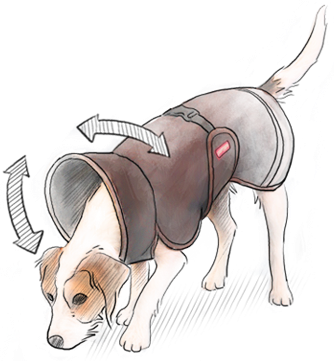 Pomppa Dog Coats Make the Weather Your Friend