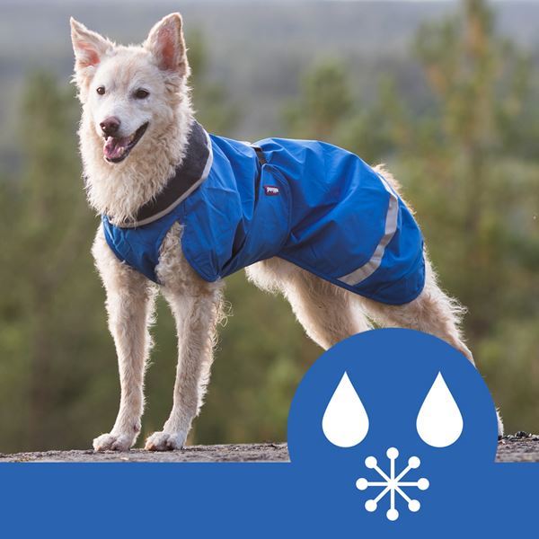 Why do we love the Pomppa dog coat range so much here at Agility World HQ?
