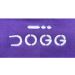 DOGG Training Hoodie - Purple