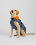 Dog Apparel