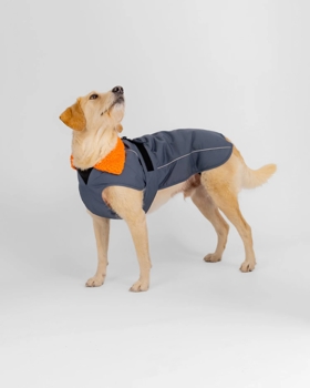 Dryrobe DOG - Dark Grey/Orange