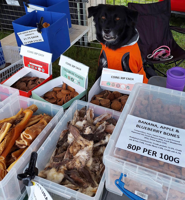 Pic 'n' Mix Treat Boxes for your K9 friend