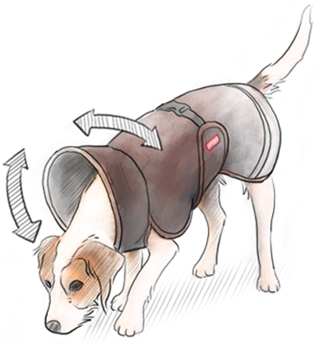 Pomppa Dog Coats Make the Weather Your Friend