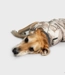 dryrobe® Dog Sand Camo