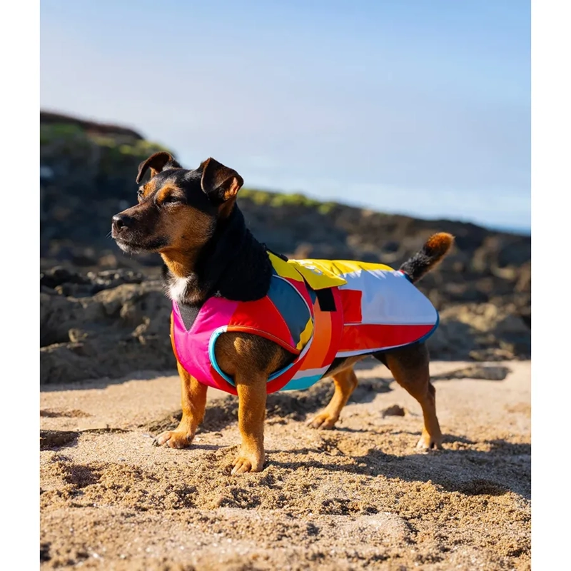 Abstract - Dryrobe® Dog