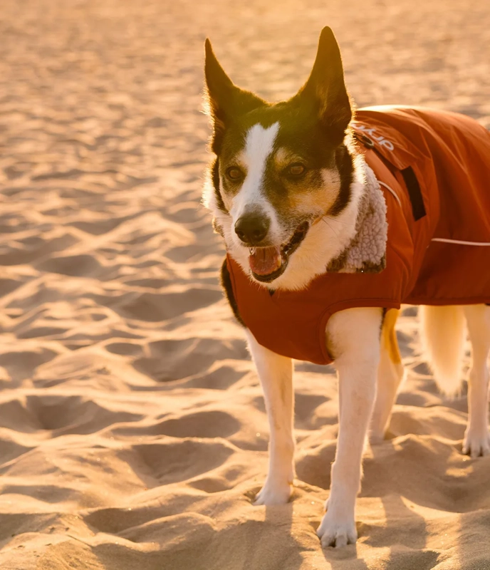 dryrobe® Dog Burnt Orange