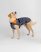 Dryrobe DOG - Dark Grey/Orange