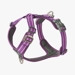 Dog Copenhagen Comfort Walk Air™ - Purple Passion Harness