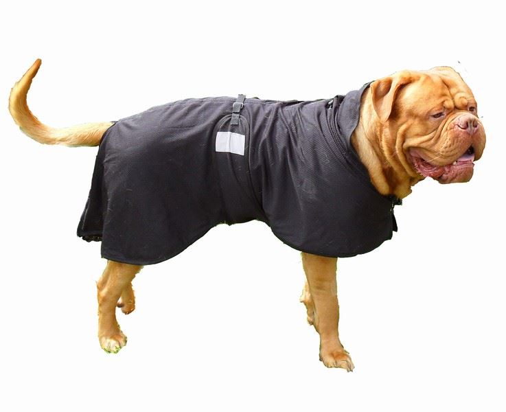 back on track dog mesh rug coat large agility world back on track sheet