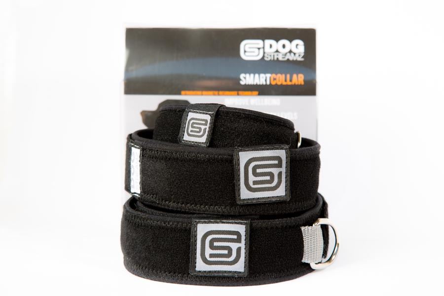 Streamz Dog Collar Reviews Streamz Dog Collar Reviews